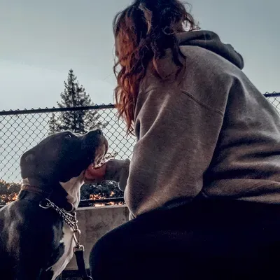 Anything's Pawsible Dog Training