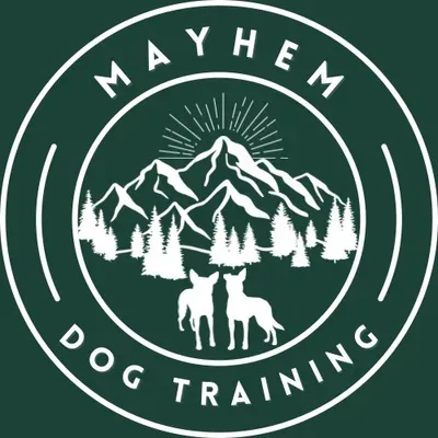 Mayhem Dog Training