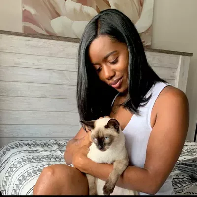 Cool Cats Pet Sitting Service