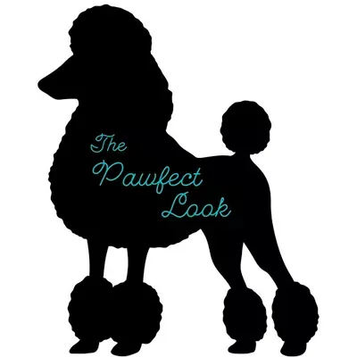 The Pawfect Look