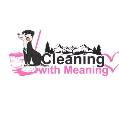 Cleaning with Meaning