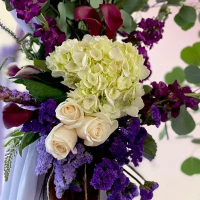 Toeaina Events & Designs