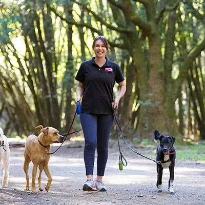 Fetch! Pet Care