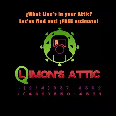 QLimonsattic