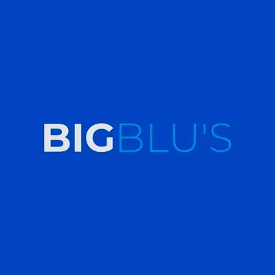 Big Blu's Fencing