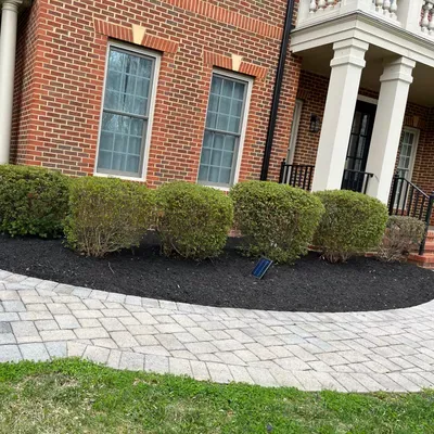 Pleitez landscaping