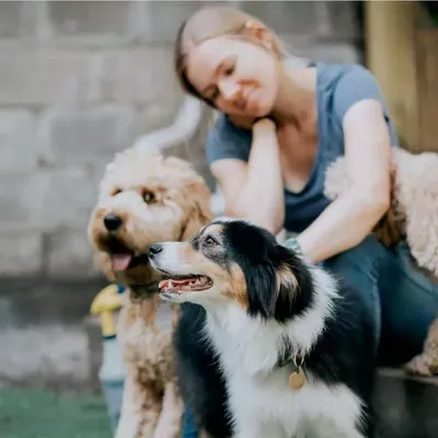 Benny's Best Dog Training