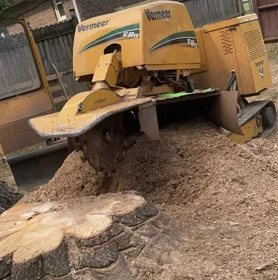 All around stump grinding