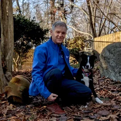 Dog Training Elite Chattanooga