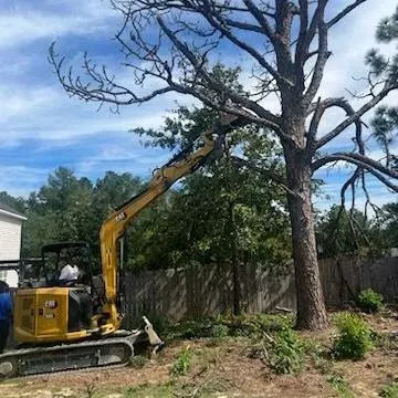 No Excuses Tree Service