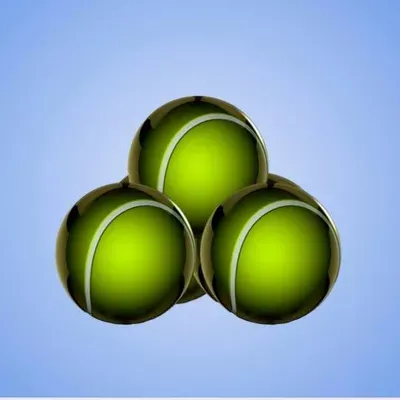 The Winter Garden Tennis Academy