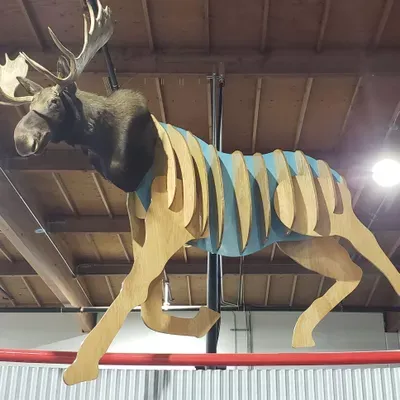 Moose Metal