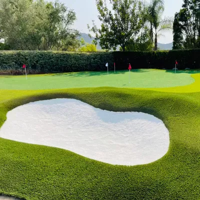 Sensational Greens
