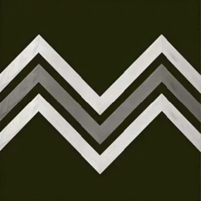 Mastered Hardwood floors