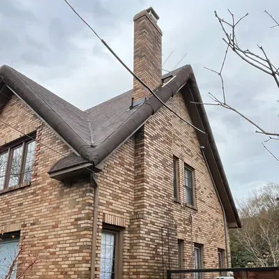 Team Leyva Chimney services