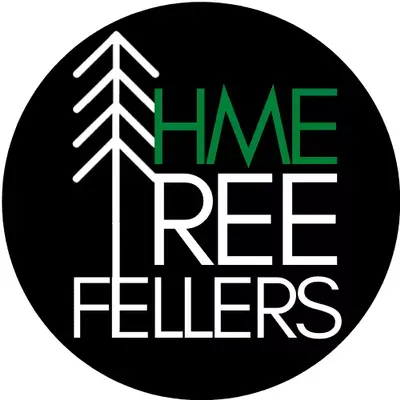 Hive Mind Enterprises, LLC