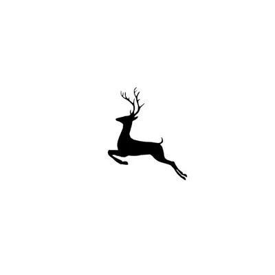 Young Buck Events