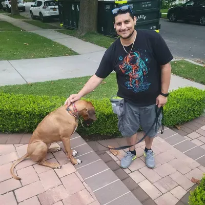 Koda's K9 Services
