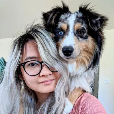 Mind Your Canine Dog Training