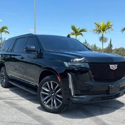 Miami Bliss Limo, LLC