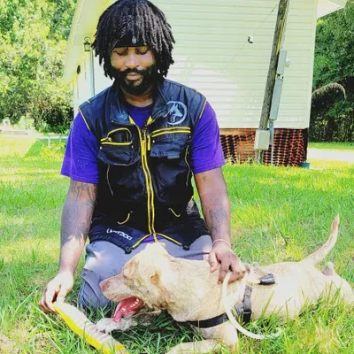 Jimi's K9 Training