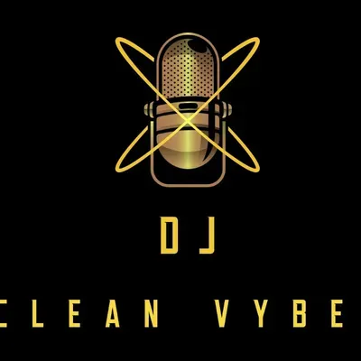 Clean Vybez Cleaning Services
