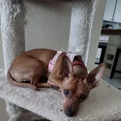 Spoiled Rotten!