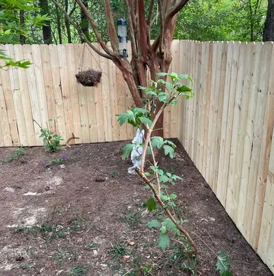 Professional Privacy fences and decks
