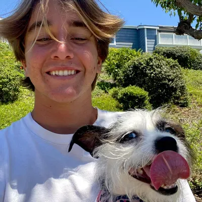 Daniel Doggy Walks