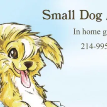 Small dog/cat grooming