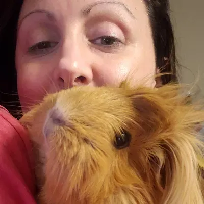 Professional Guinea Pig & Reptile Care