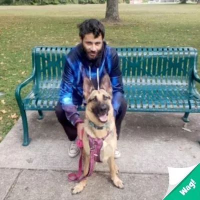 Dre's Dog Walking And Care