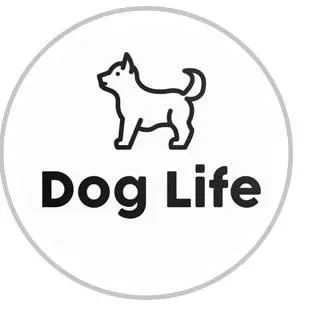 Dog Life