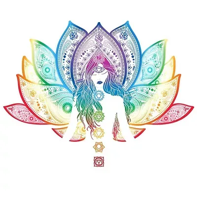 The Holistic House