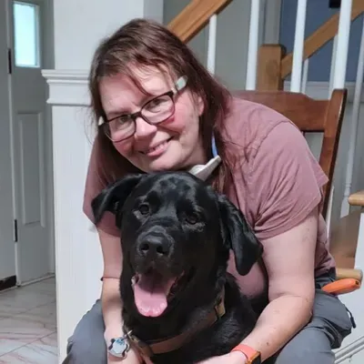 DC Dog & Owner Training