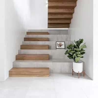 Stylish House