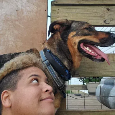 RPG Dog Training