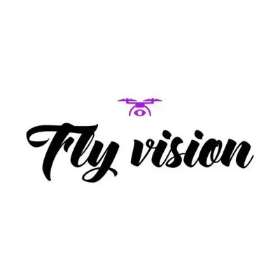 Fly Vision