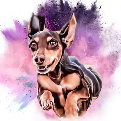 Mother of Dachshund Training LLC