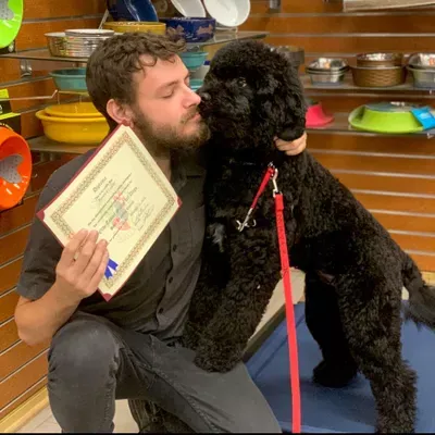 Dip N' Dude's Dog Training