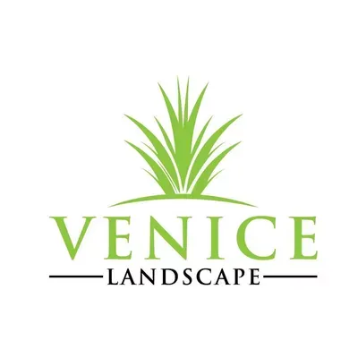 Venice Landscape