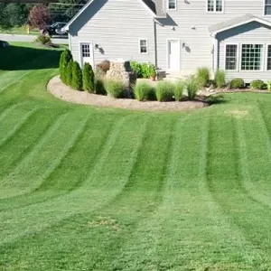 A&A landscaping Services