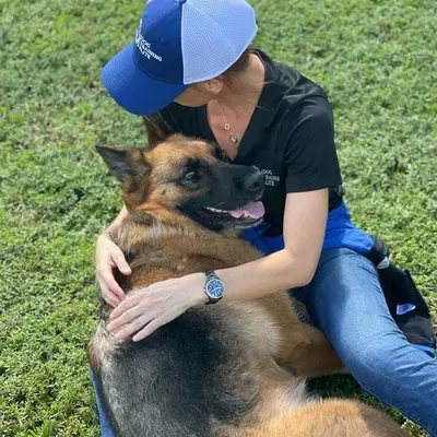 DOG TRAINING ELITE BROWARD - DTE BRO