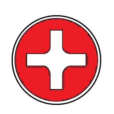 Plus Services INC