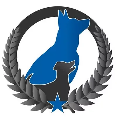 Dog Training Elite South Boston
