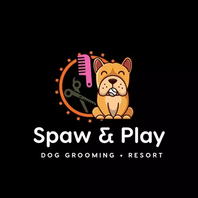 Spaw & Play