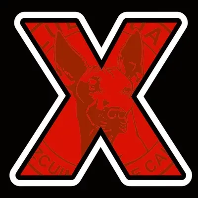 Xolos Construction