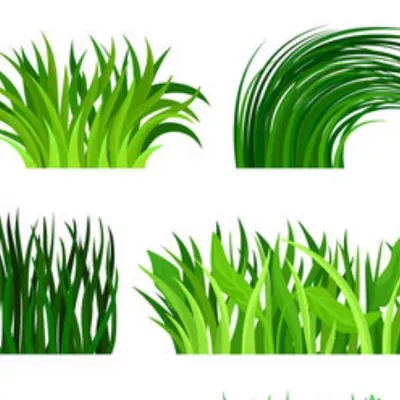 Landscape Irrigation Design