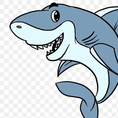 Shark Plumbing Pro.