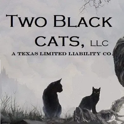 Two Black Cats